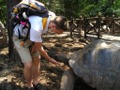 Andrew with Giant Tortoise Prison Island